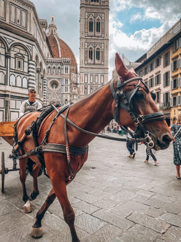 THE PALAZZO VECCHIO florence