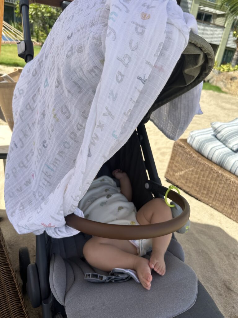 ergobaby stroller